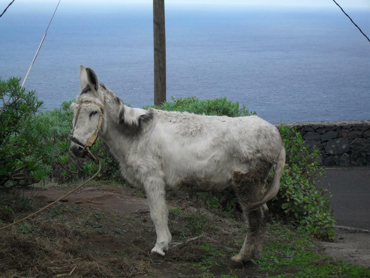 Casa Rural Arguamul Vallehermoso Εξωτερικό φωτογραφία